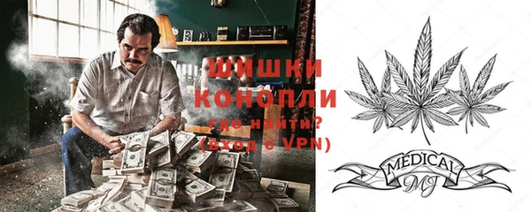 ПСИЛОЦИБИНОВЫЕ ГРИБЫ Балабаново